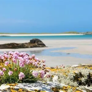  Gasthof Wild Atlantic Self-catering Irland